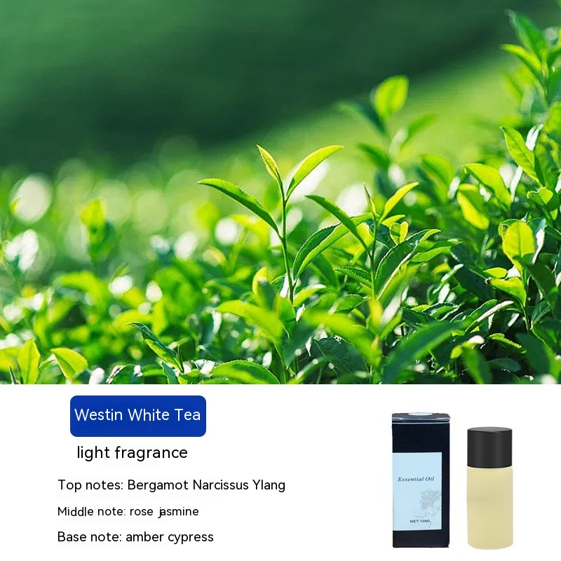 AeroFresh Smart Car Aromatherapy Diffuser