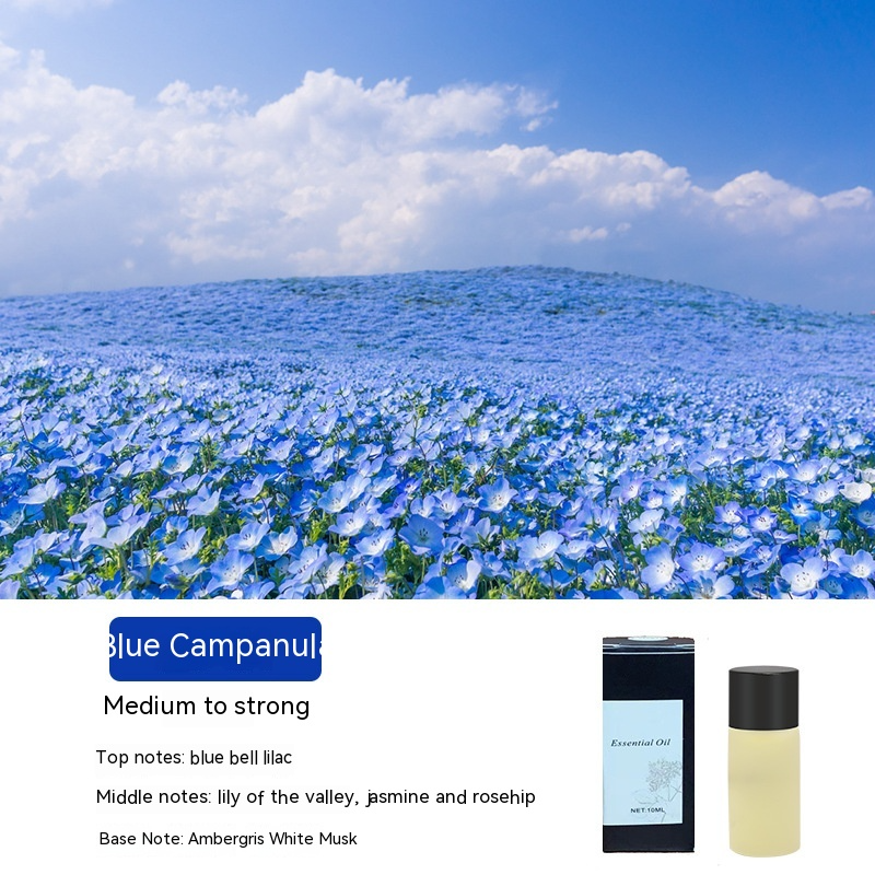 AeroFresh Smart Car Aromatherapy Diffuser
